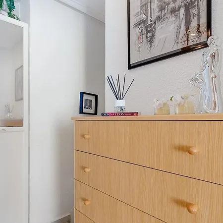 Apartment Penthouse Duplex-torrevieja, Close To The