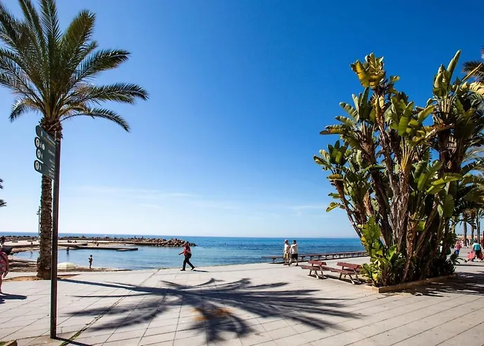 Appartement Penthouse Duplex-torrevieja, Close To The *